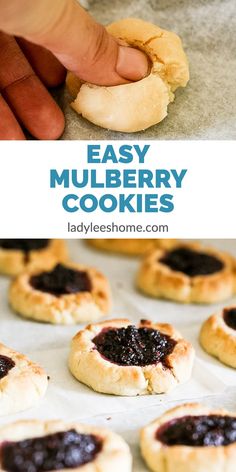 an easy mulbberry cookie recipe is shown here