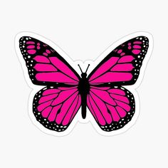 a pink butterfly with black spots on its wings