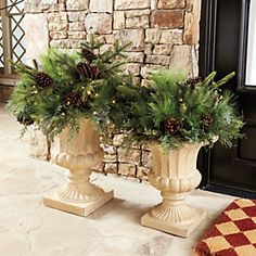 two vases filled with plants sitting on top of a floor next to a door