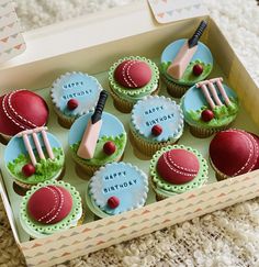 cupcakes decorated with cricket themed icing in a box on a carpeted floor