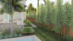 an artist's rendering of a backyard with bamboo trees and pool in the foreground