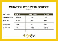 what is lot size in forex? for forex marketers and forex enthusiasts