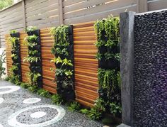 an outdoor wall with plants growing on it