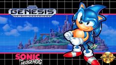 sonic the hedgehog game cover with an image of a cartoon character on it's back