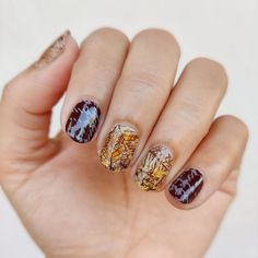 Leaf Stamping, Nagellack Trends, Plaid Nails, Unique Fall, Stamping Nail Art, Winter Nail Art, Easter Nails, Fall Nail Art, Dry Leaf