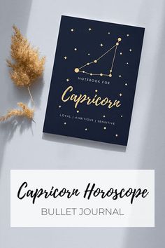 Notebook Aesthetic | Cute Notebooks | Journal Inspiration | Journaling Aesthetic | Bullet Journal Ideas for Beginners | Bullet Journal | Notebook | Horoscope | Zodiac Sign | Capricorn | #Notebook #BulletJournal // Mockup psd created by freepik //