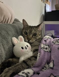 a cat laying on top of a bed next to a stuffed animal bunny rabbit toy