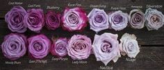 purple and white flowers arranged in rows on wooden surface with names written below the petals