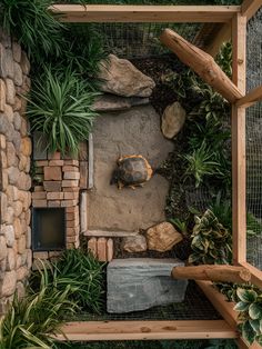 an overhead view of a tortoise in its habitat with rocks and plants around it