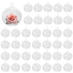 a rose in a glass vase surrounded by small round plastic tags with the word love on them