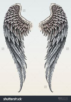 two black and white angel wings with large, long feathers on the back of them