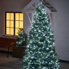 a lit christmas tree in front of a house