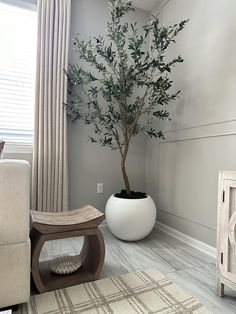 there is a potted tree in the corner of this living room with a chair