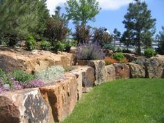 a stone wall in the middle of a grassy area