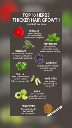 For Thick Hair Growth, Rosemary Benefits, Rosemary Hair Growth, Thick Hair Growth, Hair Growth Foods, Natural Hair Treatments