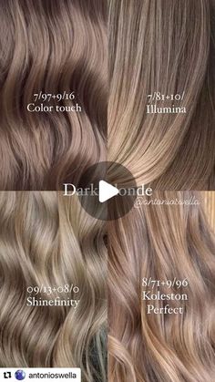 Wella Ash Blonde Formula, Golden Blonde Formula, Blonde Formulas, Sand Blonde Hair