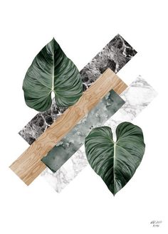 some green leaves are on top of a wooden board with black and white marble in the background