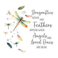 watercolor dragonflies and feathers appear when angels and loved ones are near