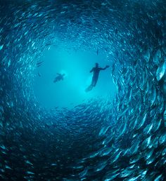 a man swimming in the middle of a large school of fish, with his arms out