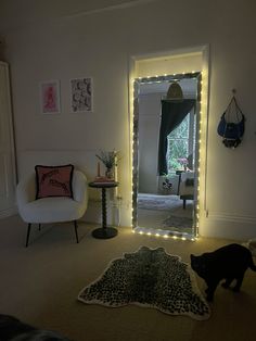 a cat is standing in front of a mirror with lights on it's sides