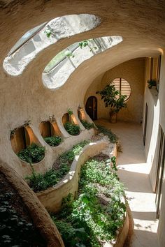 the inside of a building with plants growing in it