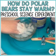 How Do Polar Bears Stay Warm Preschool Science Experiment - Pre-K Printable Fun Polar Bear Science Preschool, Polar Bear Science Experiment, Artic Science Experiments For Kids, Polar Bear Activity Preschool, Polar Bear Polar Bear What Do You See, Hibernation Preschool Activities Science, Bear Science Preschool, Polar Bear Activities For Toddlers, Polar Bear Preschool Activities