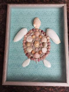 a sea turtle made out of shells in a shadow box