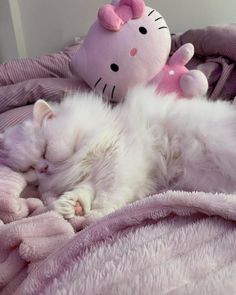 a white cat laying on top of a pink blanket next to a stuffed hello kitty