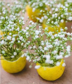 small yellow vases filled with baby's breath flowers