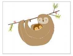 a mother sloth and her baby hanging from a tree branch