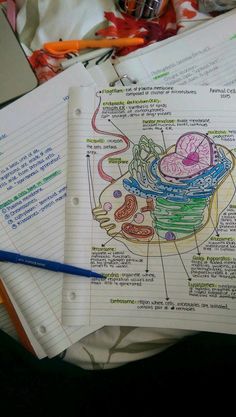 two notebooks with diagrams on them sitting next to some pens and pencils in front of it