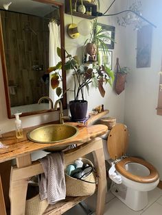 a bathroom with a sink, toilet and plants on the wall above the counter top