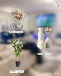 there are four vases with flowers in them on the table and one has a plant