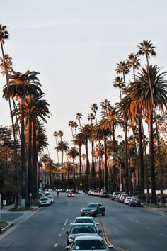 cars are driving down the street lined with palm trees