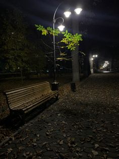 a park bench sitting under a street light in the night time with leaves on the ground