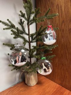 a small christmas tree with two ornaments on it and a cat ornament hanging from the top