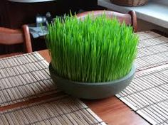 a potted plant with green grass growing out of it's sides on a table