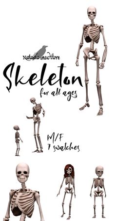 the skeleton for all ages is shown in three different poses