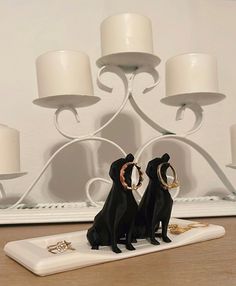 two black dogs sitting on top of a white tray with rings in their mouth and one dog wearing a ring around its neck