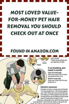 a poster with instructions on how to remove pet hair