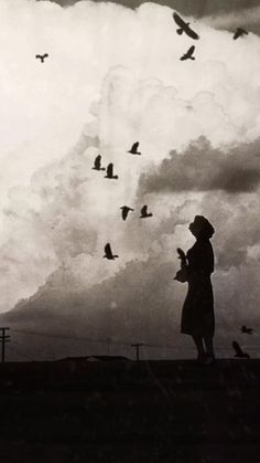 a woman standing on top of a hill under a cloudy sky with birds flying overhead