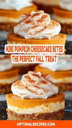 mini pumpkin cheesecake bites are the perfect fall treat to serve at thanksgiving or halloween parties