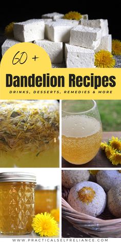 dandelion recipe collage with photos and text overlay