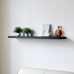 a white couch sitting in front of a wall mounted shelf with two plants on it