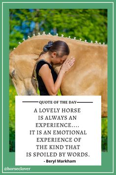 a girl is holding her head next to a cow with the caption saying,'quote of the day a lovely horse is always an experience it '