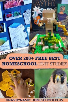 there is a collage of pictures with legos and books about homeschool