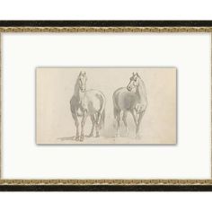 two horses standing next to each other in a frame