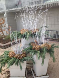 three white planters filled with pine cones and evergreen needles sitting in front of a building