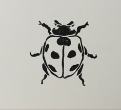 a black and white drawing of a lady bug