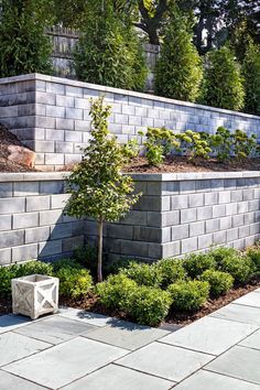 a brick wall with trees and bushes around it